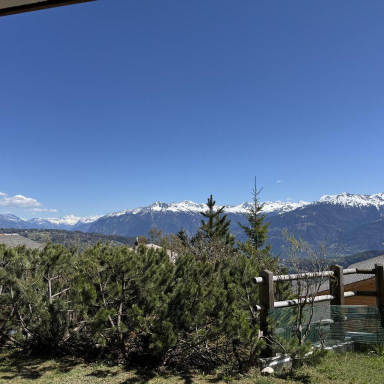 Domaine des Alpes 1 appartement au centre d Anzere - Superior Apartment mit 3 Schlafzimmern - 20