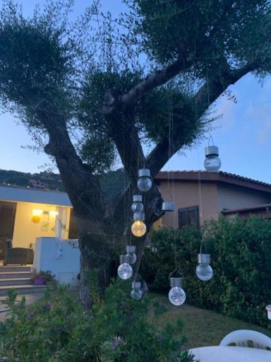 villa andrea - Villa con 3 Camere da Letto - 5
