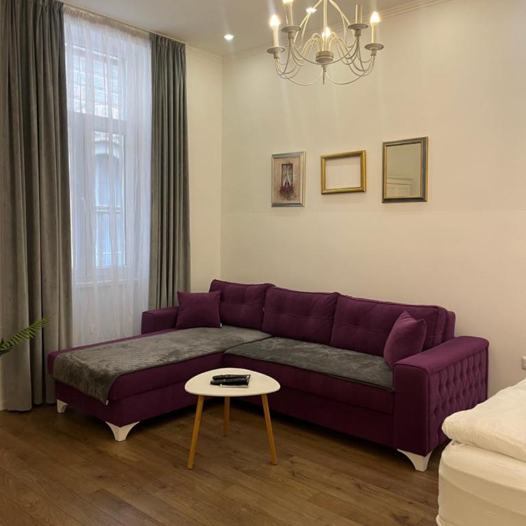 Aria Apartments Sarajevo - Apartman sa 1 Spavaćom Sobom - 11