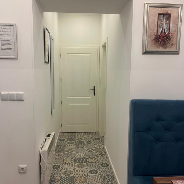 Aria Apartments Sarajevo - Apartman sa 1 Spavaćom Sobom - 8