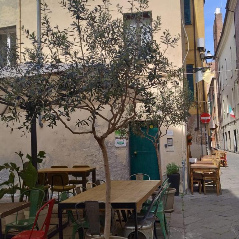 Casa Vacanza L'Ulivo - Appartamento con 2 Camere da Letto - 6
