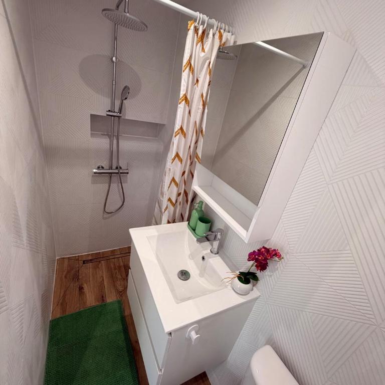 Studio lumineux avec terrasse Proche du centre ville de Nice - Appartement 1 Chambre - 9