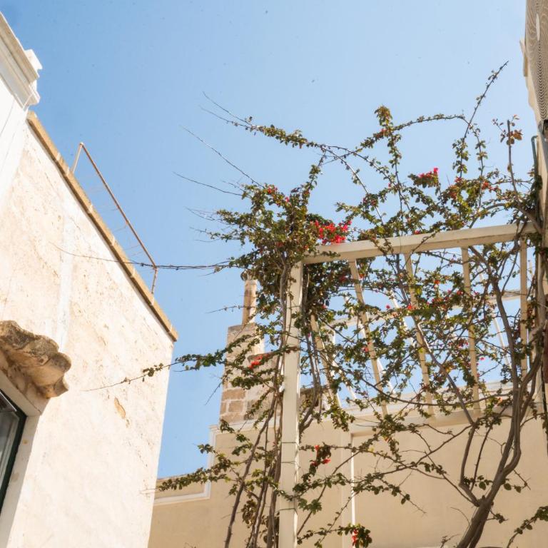Pantabrì - Casa Tipica su Mare nel Centro Storico di Gallipoli - Casa Vacanze - 78