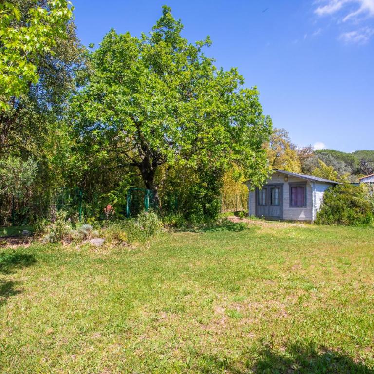 Villa 3 palmiers avec pisicne - Three-Bedroom House - 21