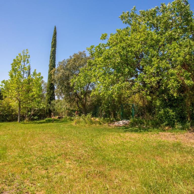 Villa 3 palmiers avec pisicne - Three-Bedroom House - 22
