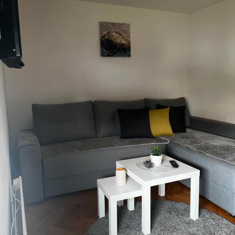 Zlatibor nest cosy modern - One-Bedroom Apartment - 3
