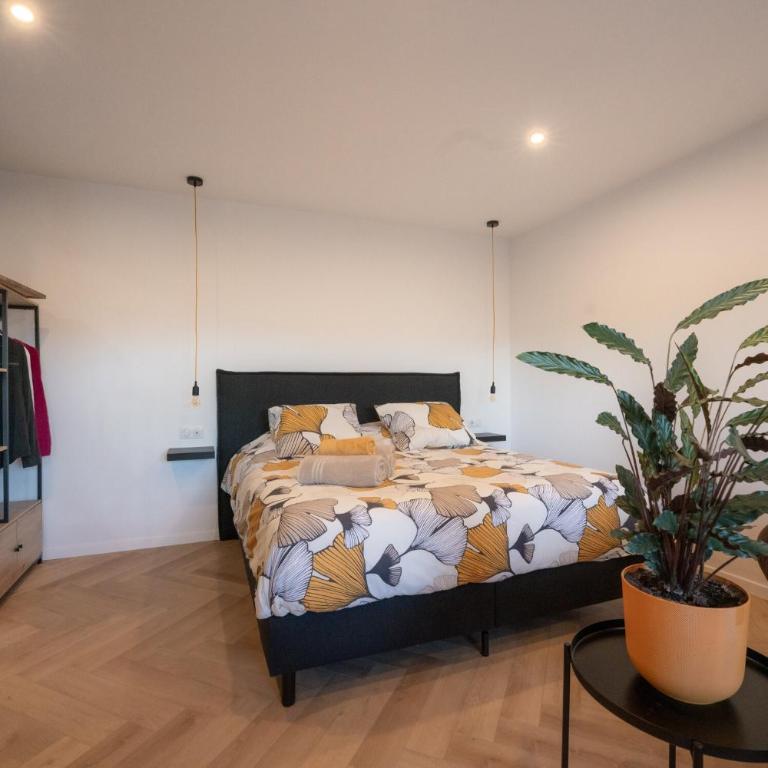 L'Attrape-Rêves - Chambre Familiale Deluxe - 7