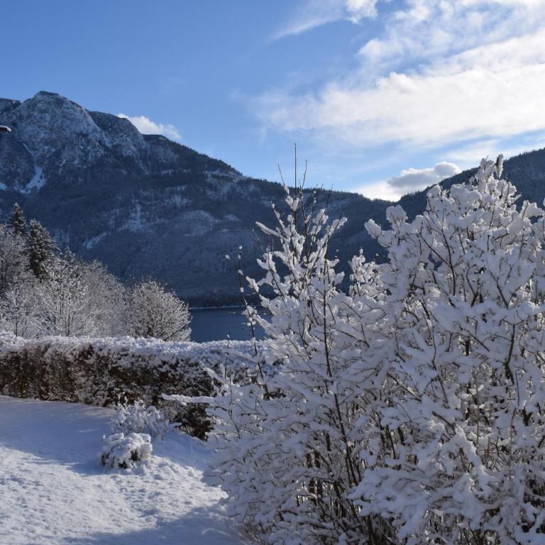 Villa Frischmuth am See - Appartement - Vue sur Lac - 10