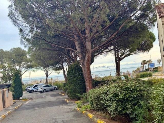 Appartement Climatisé T2 à 200m plage les Issambres - Appartement 1 Chambre - 29