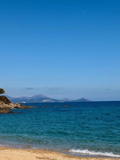 Appartement Climatisé T2 à 200m plage les Issambres - Appartement 1 Chambre - 19
