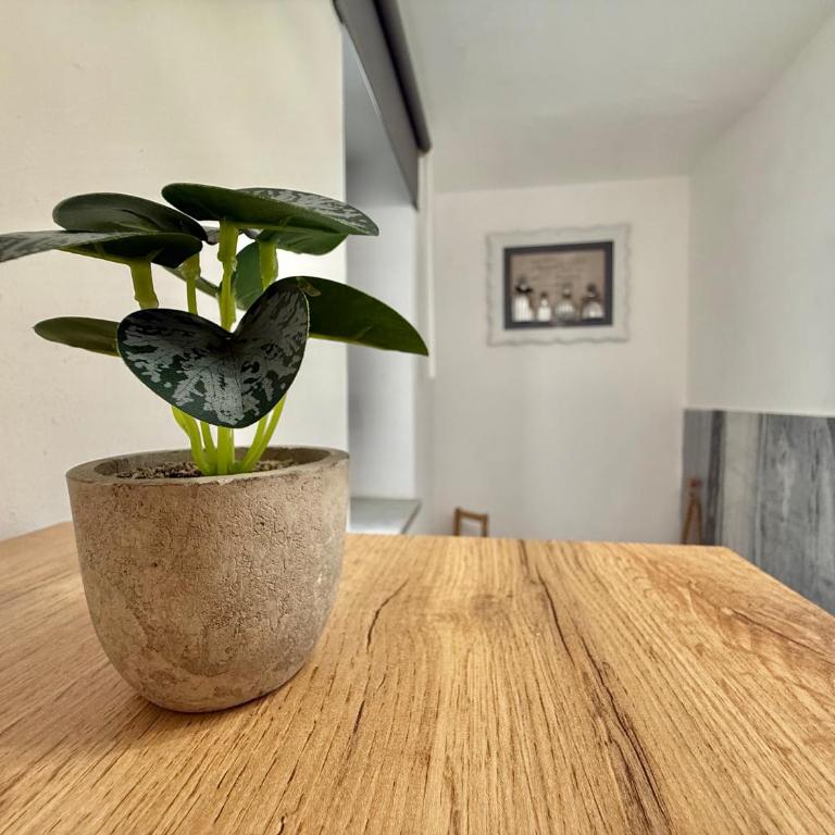 Cesare Ventinove - Historic Center - Appartamento con 3 Camere da Letto e con Balcone - 12