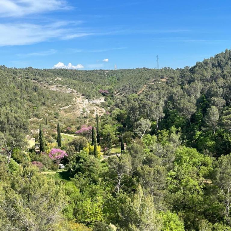Villa Paradisio - Jolie villa climatisée avec piscine et jardin privés parking proche centre ville - Villa avec Piscine Privée - 38