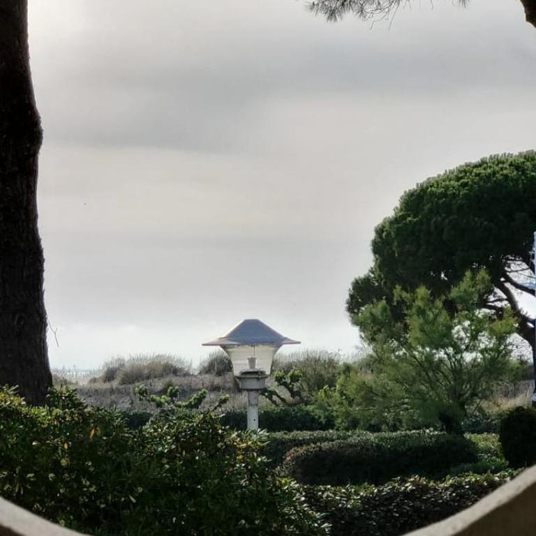 Une Escale en bord de Plage avec piscine et jardins - Apartment - 22