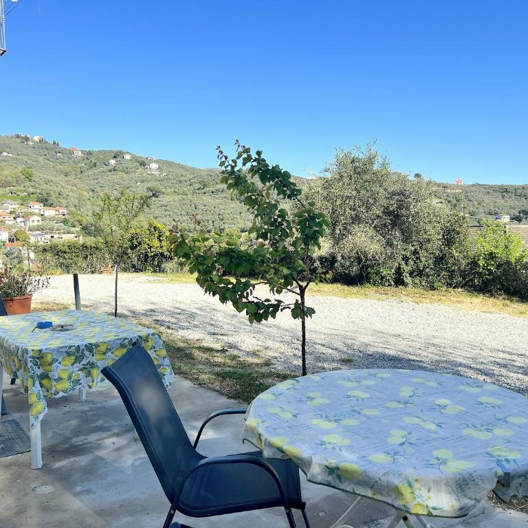 Appartamento Nettuno in Villa Daria a 2 Km dal mare golfo del Tigullio - Casa con 1 Camera da Letto - 12