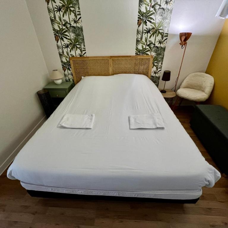 Le Saint-Hilaire - appartement calme + parking - Appartement - 9