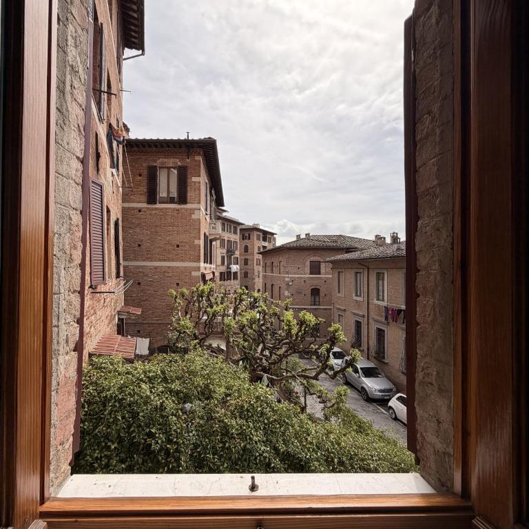 Vicolo della Coda - Appartamento con 2 Camere da Letto - 4