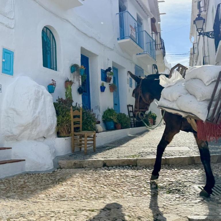 Casa Alta 26 - Casa de 2 dormitorios - 28