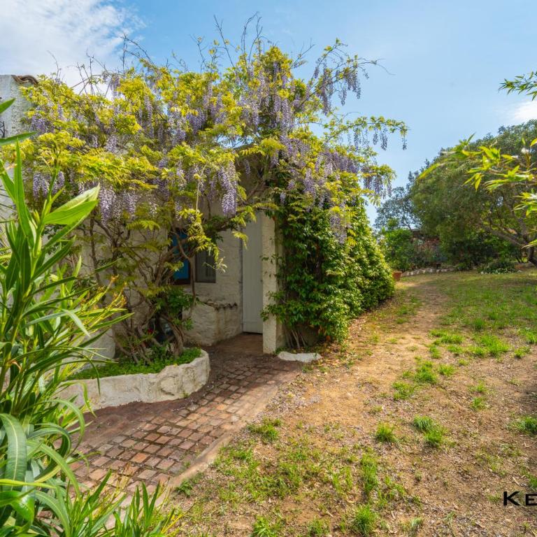 Villa Miramare - Appartamento con 2 Camere da Letto - 30