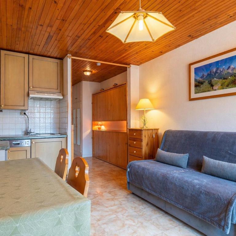 Studio lumineux au cœur du village, animaux admis - FR-1-304-67 - Estudio - 4
