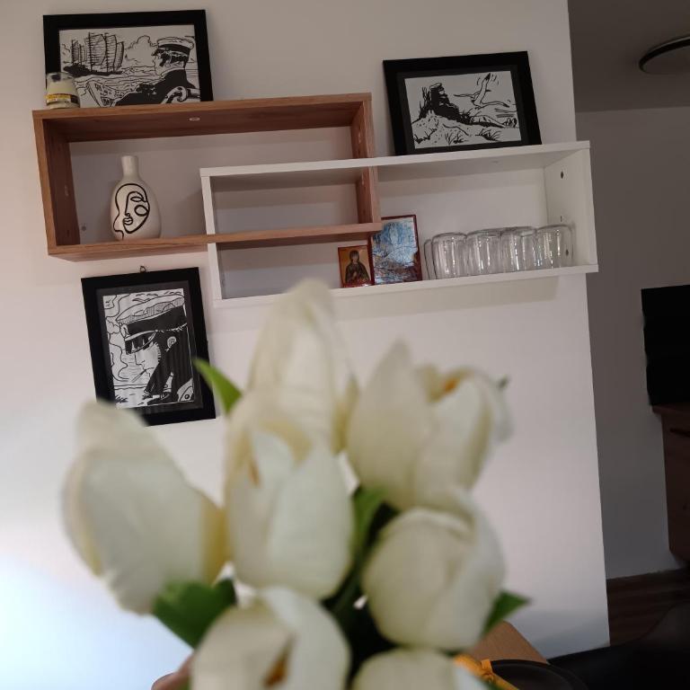 Casa Nonna-SOKOBANJA - One-Bedroom Apartment - 7