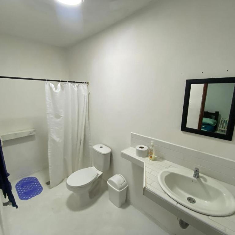 Fauna - Double Room with Private Bathroom - 5