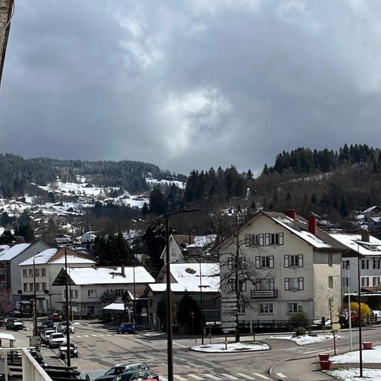 Appartement lumineux centre gérardmer vue lac - Appartement 2 Chambres - 5