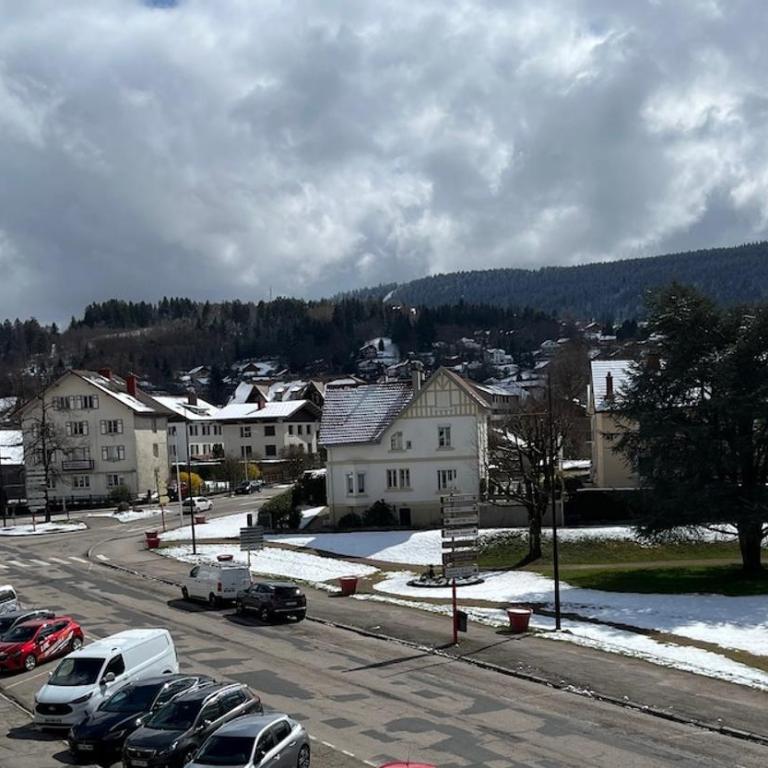 Appartement lumineux centre gérardmer vue lac - Appartement 2 Chambres - 16