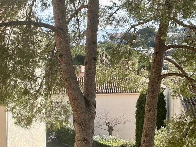 Appartement Climatisé T2 à 200m plage les Issambres - Appartement 1 Chambre - 17