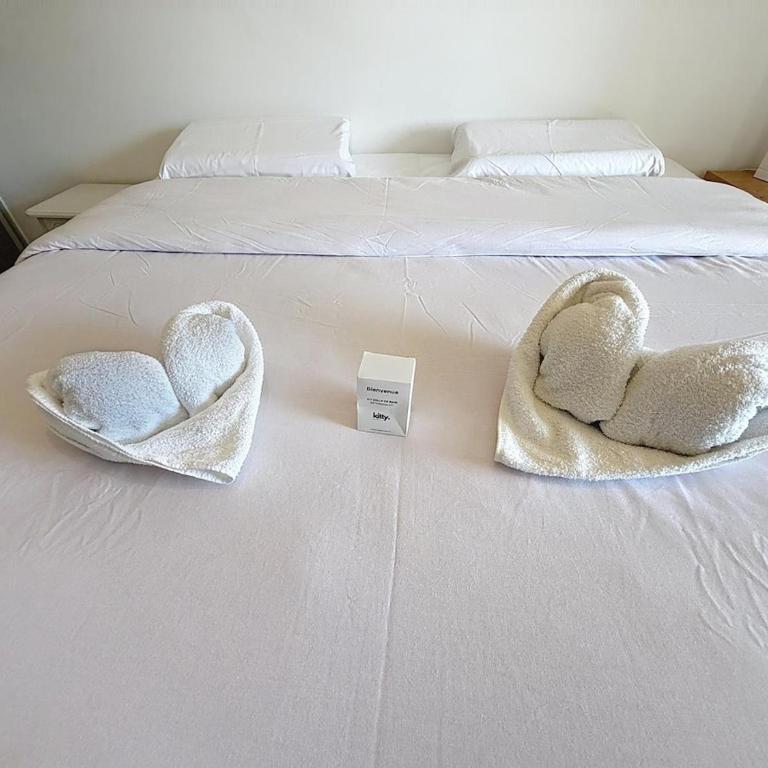 Grand T3 Terrasse Clim 4 Pers Villeurbanne - Two-Bedroom Apartment - 2