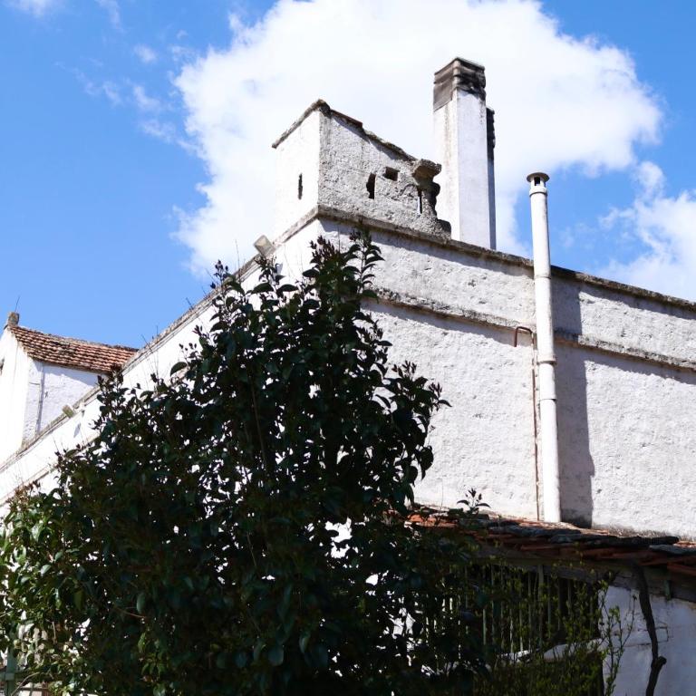 Masseria Cielo Cielo - DIEMME STAY - Casa con 3 Camere da Letto - 6