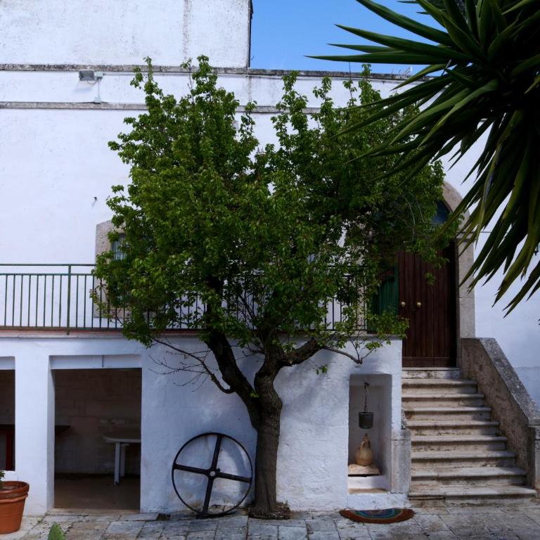 Masseria Cielo Cielo - DIEMME STAY - Casa con 3 Camere da Letto - 3