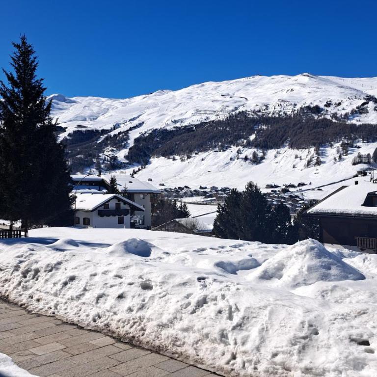 TeolaHaus con vista panoramica su Livigno - One-Bedroom Apartment - 32