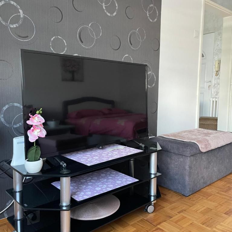 Teodora - Apartman sa 1 Spavaćom Sobom - 13