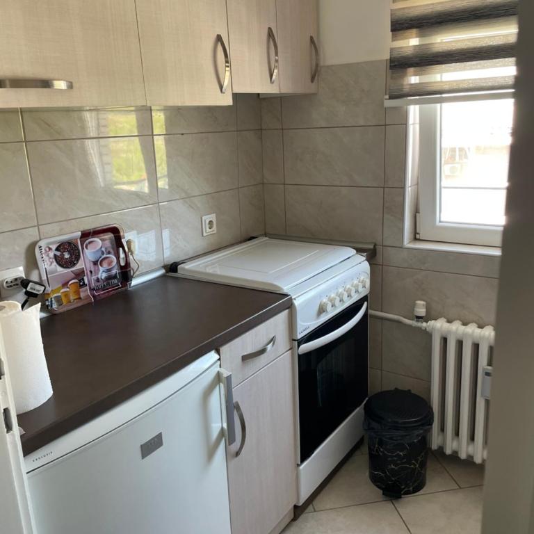 Teodora - Apartman sa 1 Spavaćom Sobom - 14