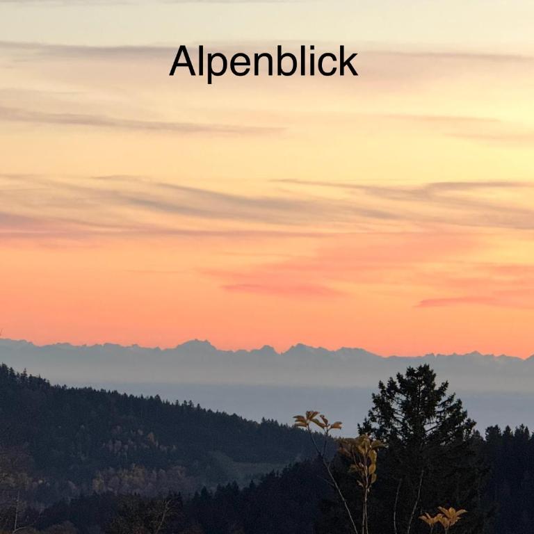 Ferienwohnung Harmonia inklusive Hallenbad, Außenpool, Sauna & Fitnessstudio, familienfreundlich ausgestattet, großes 2-Zimmer-Apartment - Apartment mit 2 Schlafzimmern - 20