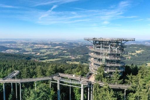 Ferienwohnung Harmonia inklusive Hallenbad, Außenpool, Sauna & Fitnessstudio, familienfreundlich ausgestattet, großes 2-Zimmer-Apartment - Apartment mit 2 Schlafzimmern - 57