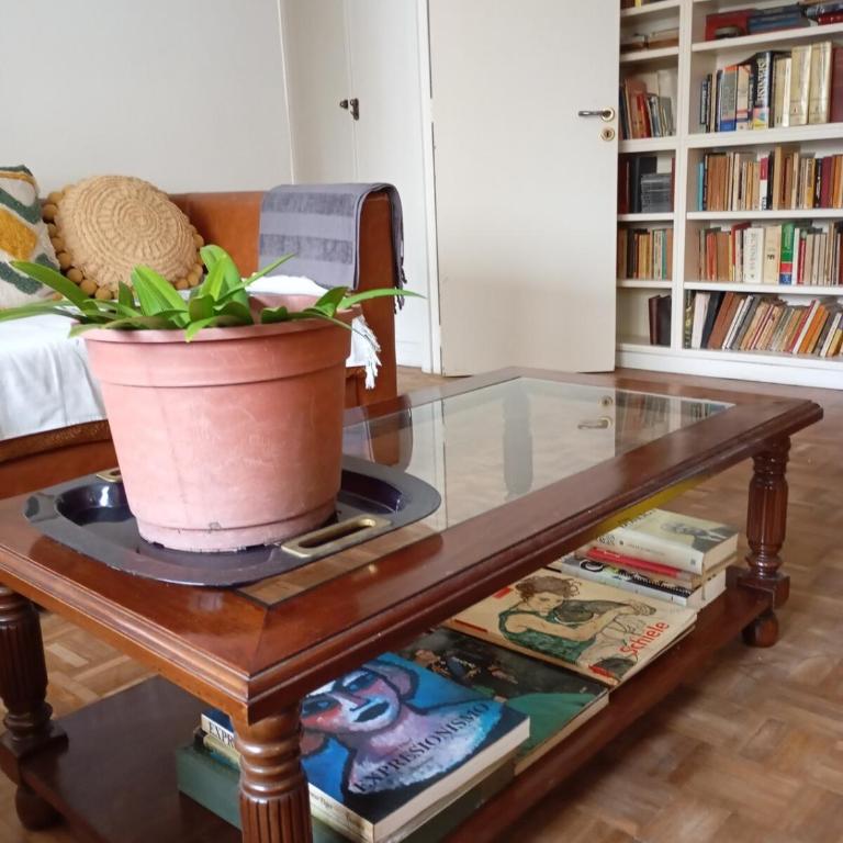 Relaxation with private garden terrace in Teatro Colón, Buenos Aires - Apartamento Deluxe de 1 dormitorio con vistas al jardín - 4