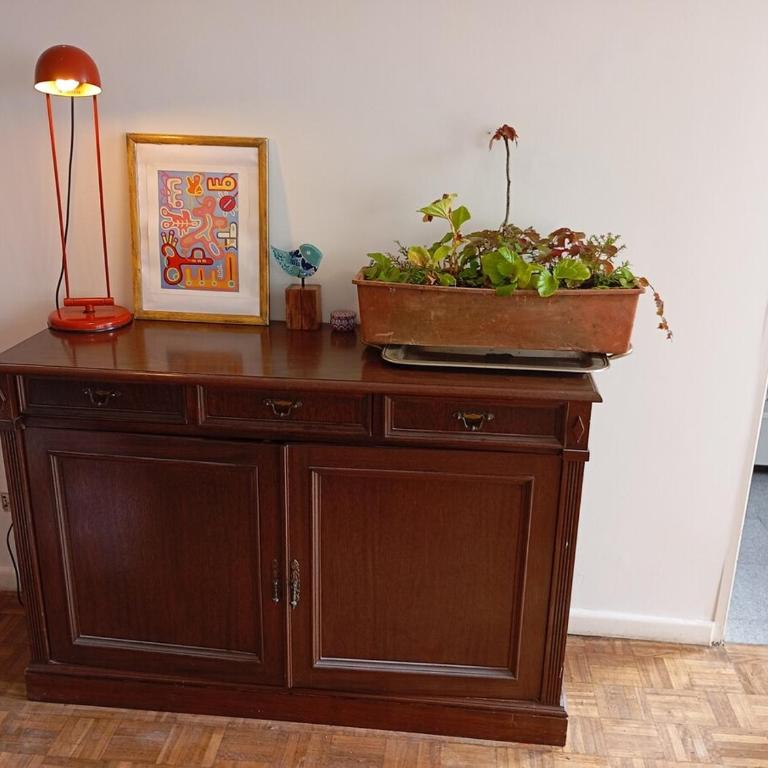 Relaxation with private garden terrace in Teatro Colón, Buenos Aires - Apartamento Deluxe de 1 dormitorio con vistas al jardín - 5