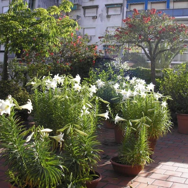 Relaxation with private garden terrace in Teatro Colón, Buenos Aires - Apartamento Deluxe de 1 dormitorio con vistas al jardín - 17
