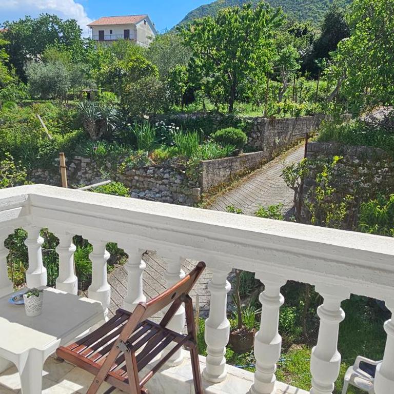 Apartments Popovic - Studio with Garden View - 5