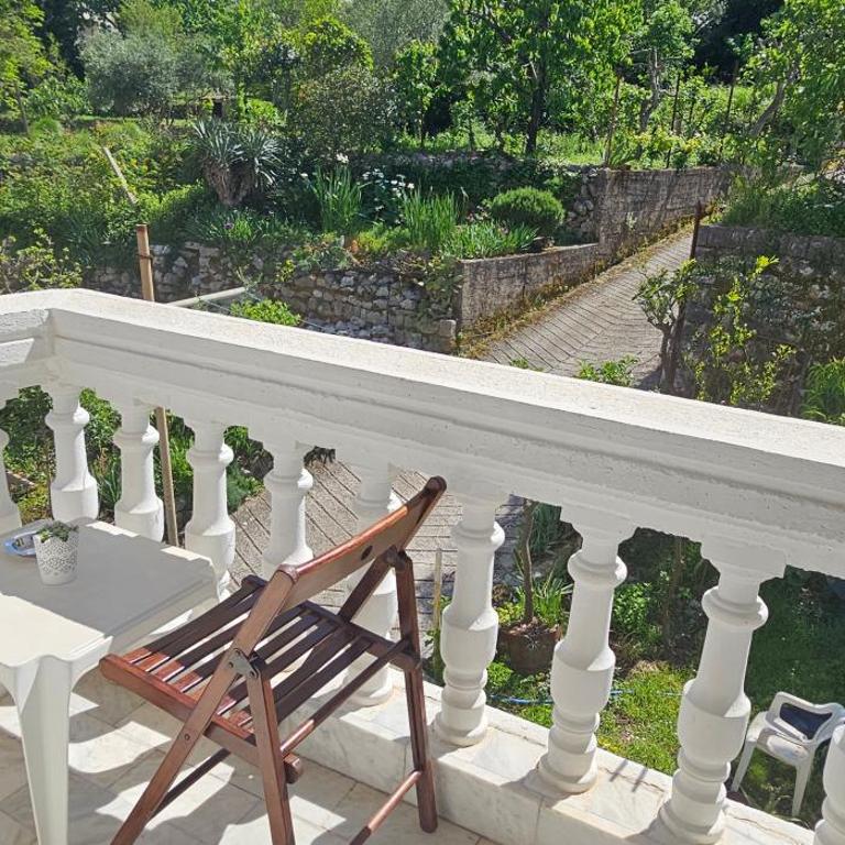 Apartments Popovic - Studio with Garden View - 6