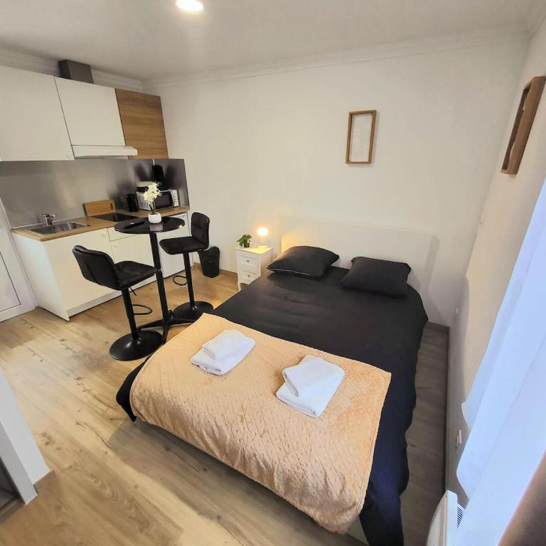 Ribère 4 Studio with balcony, central, quiet - Appartement 1 Chambre - 1