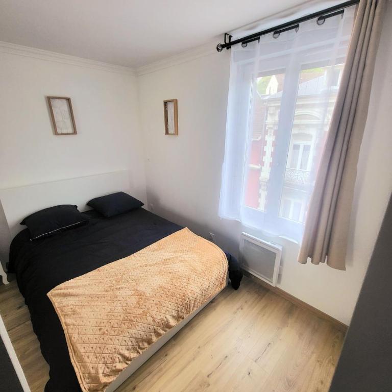 Ribère 4 Studio with balcony, central, quiet - Appartement 1 Chambre - 6