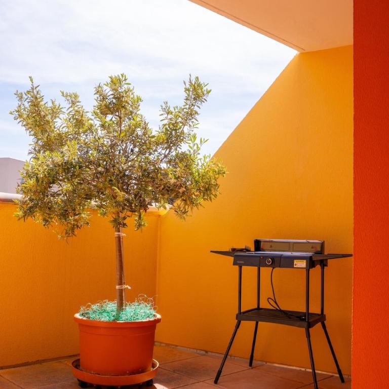 Spacieux T3 avec terrasse et parking à Sanary - Apartment mit 2 Schlafzimmern - 21
