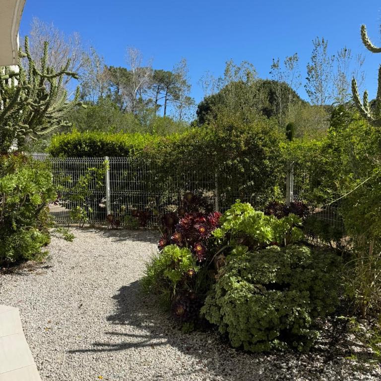 Appartement à proximité de la plage de Calvi - Apartment mit 2 Schlafzimmern und Terrasse - 14