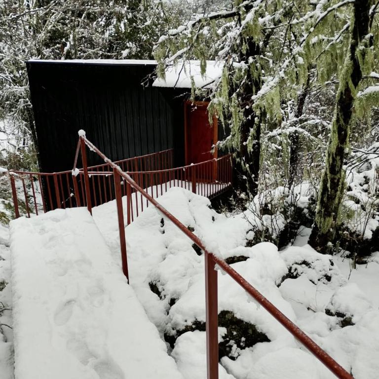M Refugio 6 Hualle I 6 personas I Tinaja I Bosque nativo - Chalet - 2