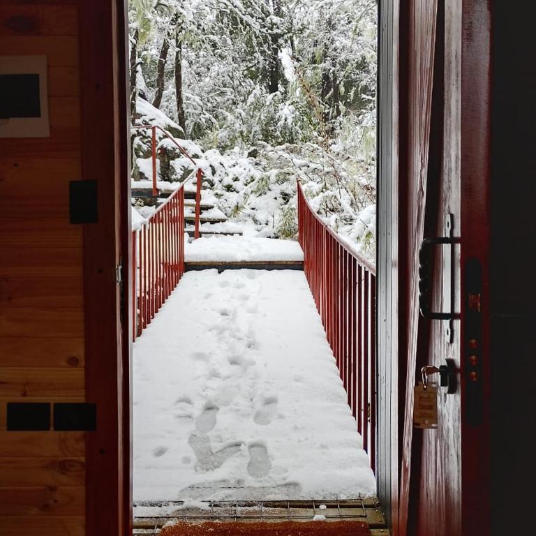 M Refugio 6 Hualle I 6 personas I Tinaja I Bosque nativo - Chalet - 16