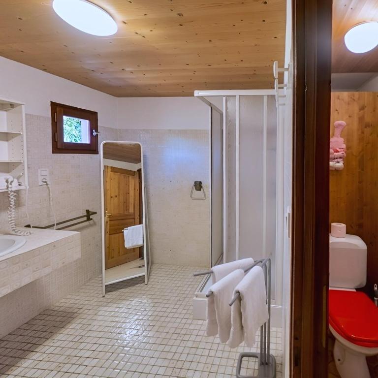 Casa-Chalet du Torchet: luxe chalet avec vue - Maison 8 Chambres - 10