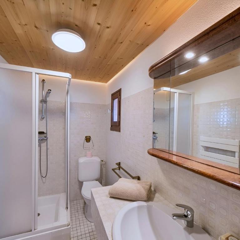 Casa-Chalet du Torchet: luxe chalet avec vue - Maison 8 Chambres - 14