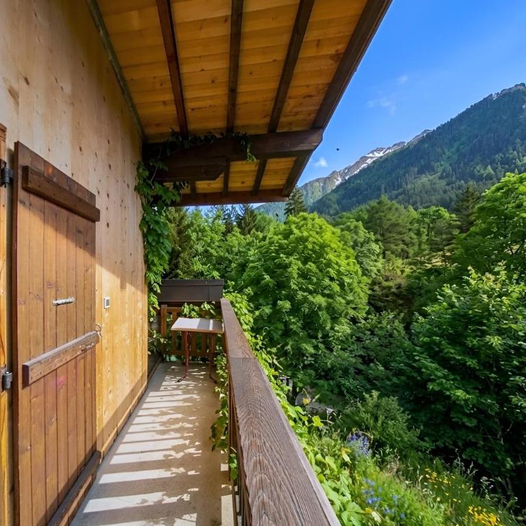 Casa-Chalet du Torchet: luxe chalet avec vue - Maison 8 Chambres - 37
